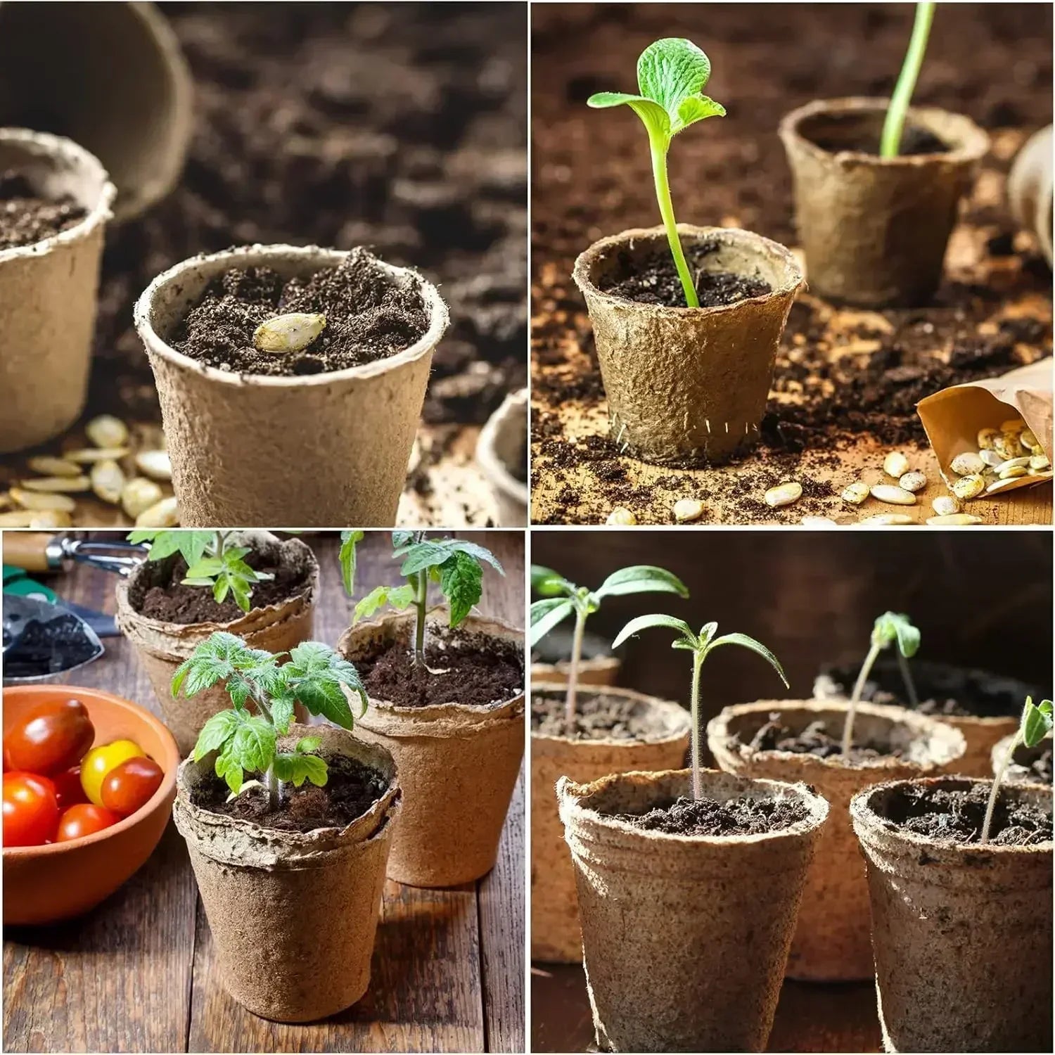 Coco Coir Seed Starter Plant Pots - Biodegradable Nursery Pots for Seedling Germination & Transplanting